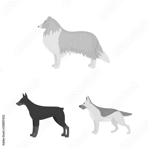 Dog breeds monochrome icons in set collection for design.Dog pet vector symbol stock web illustration.
