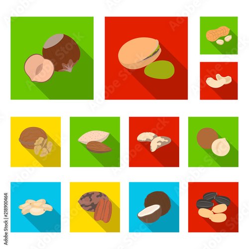 Different kinds of nuts flat icons in set collection for design.Nut Food vector symbol stock web illustration. photo