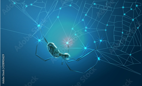 Spider and torn web. Scary spiderweb of halloween symbol. Abstract image of a starry sky or space, consisting of points, lines, and shapes in the form of stars and the universe. Low poly vector