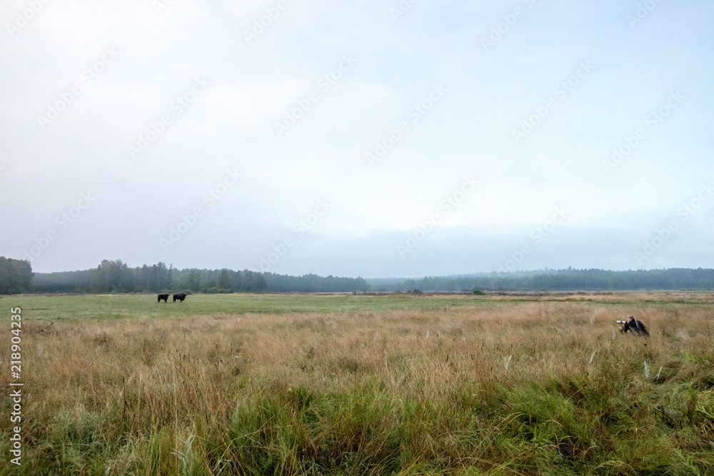 naturalist photographer hidden in the grass with telephoto lens while photographing two bisons in the wild in a forest plain. Wildlife photography naturalist photographer hidden in the grass with telephoto lens while photographing two bisons in the wild in a forest plain. Wildlife photography