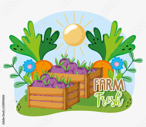 Farm fresh cartoons