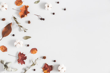 Autumn composition. Frame made of eucalyptus branches, cotton flowers, dried leaves on pastel gray background. Autumn, fall concept. Flat lay, top view, copy space
