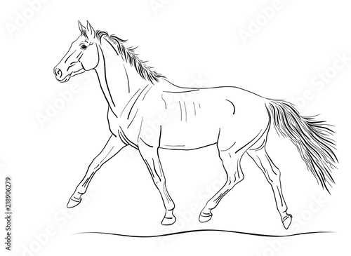 An illustration of a freely trotting horse.