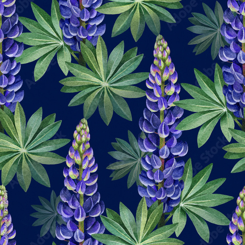 Watercolor illustrations of wild lupines. Seamless pattern
