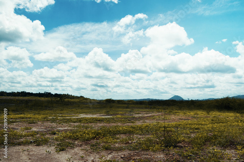 Green grass field with dramatic sky