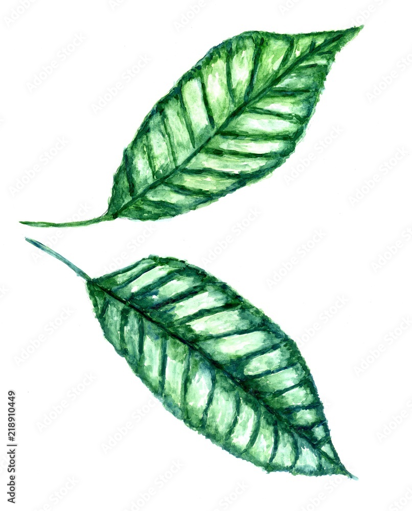 Tropical Leaves Art Tropical Leaves Art