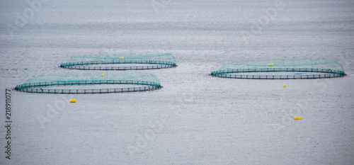 Aquafarming in einer Bucht auf Iceland
