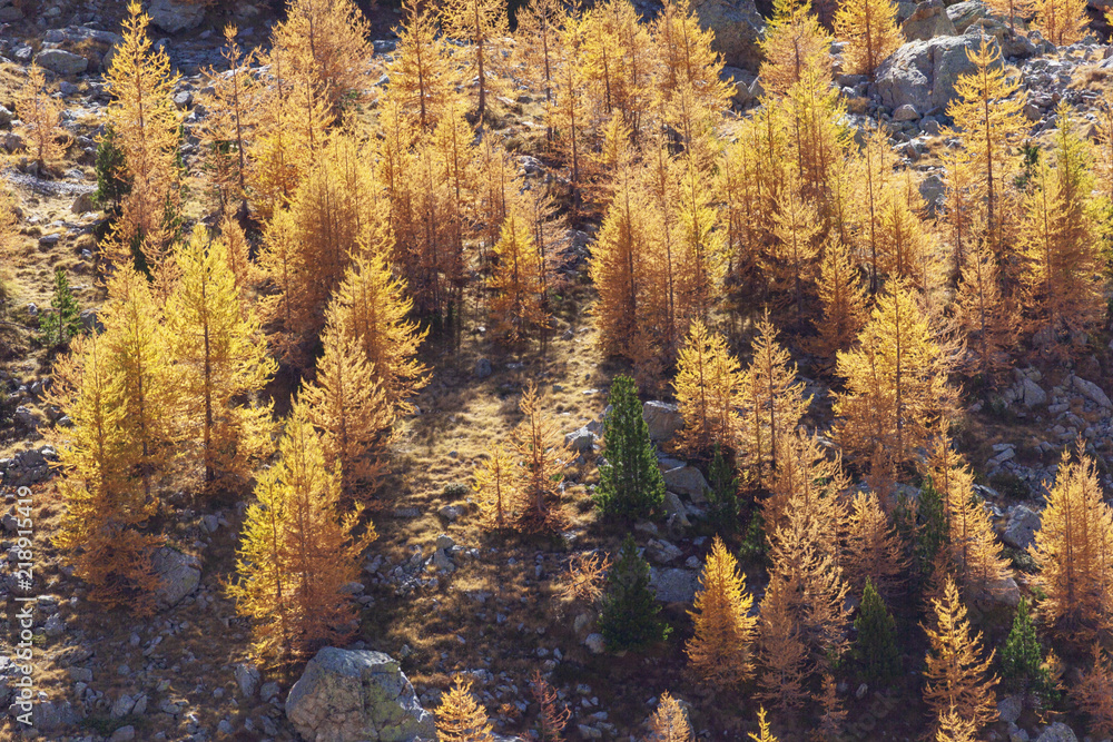 Automne