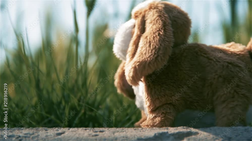 Mechanical Plush Puppy Moving Among Grass on Sidewalk - Close Up Mechanical Plush Puppy Moving Among Grass on Sidewalk - Close Up