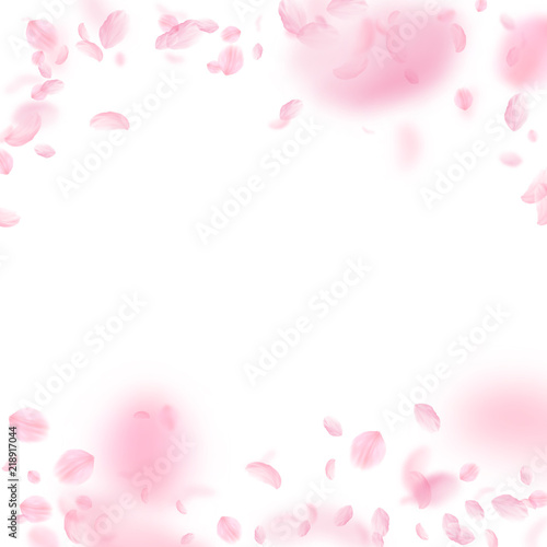 Sakura petals falling down. Romantic pink flowers falling rain. Flying petals on white square backgr © Begin Again