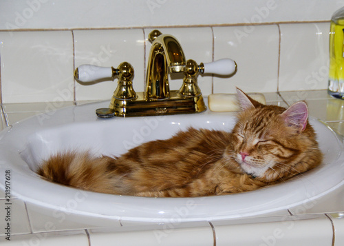 A young ginger haired tomcat sleeping in a sink in the bathroom.