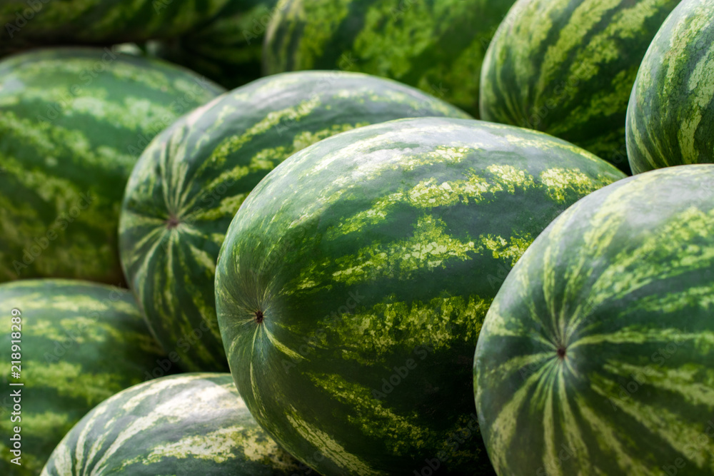 Close up of a pile of beautiful delicious green watermelons on the market bench or counter. Agricultural background concept Close up of a pile of beautiful delicious green watermelons on the market bench or counter. Agricultural background concept
