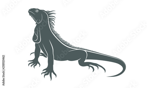 Iguana graphic icon. Iguana gray sign isolated on white background. Vector illustration photo