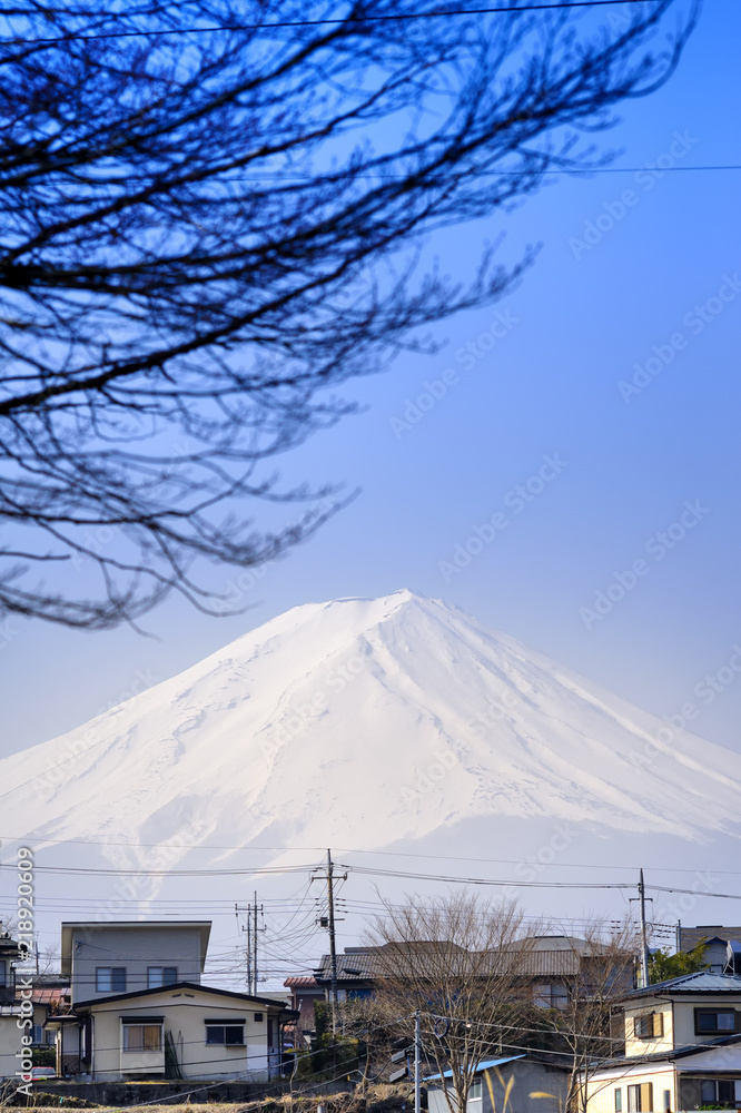 Fuji mountain and village at Kawaguchiko province  : Yamanashi Japan.