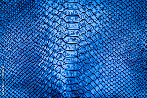 Obraz na płótnie Blue snake skin pattern texture