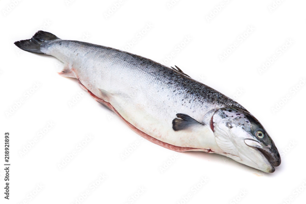 Saumon Saumon