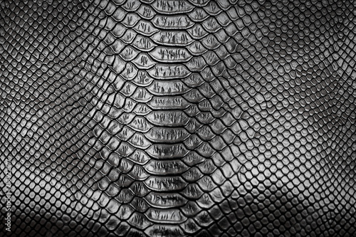 Black snake skin pattern texture