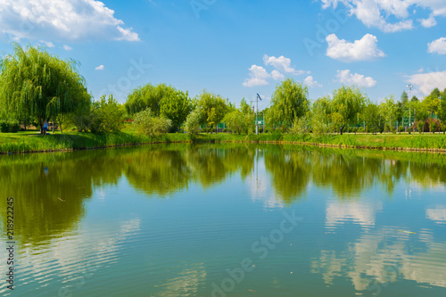 Fototapeta Naklejka Na Ścianę i Meble -  water lake reflection of green willow trees