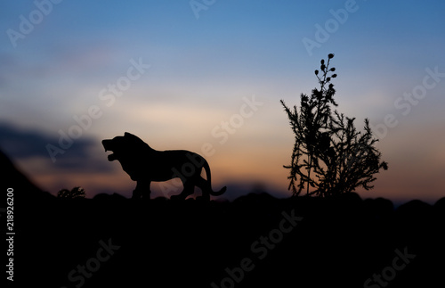 silhouette of animal at sunset background.