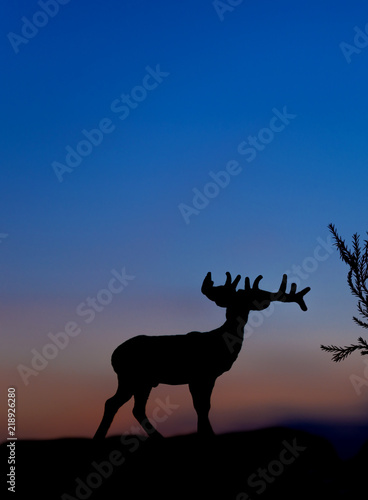 silhouette of rain deer model at sunset background.