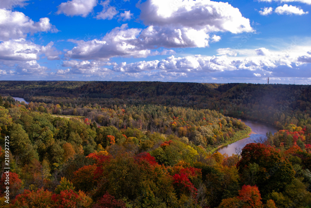 Aerial View of  Forest and River Gauja in Autumn in Sigulda, Latvia