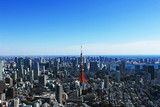 Tokyo Tower and Tokyo landscape
