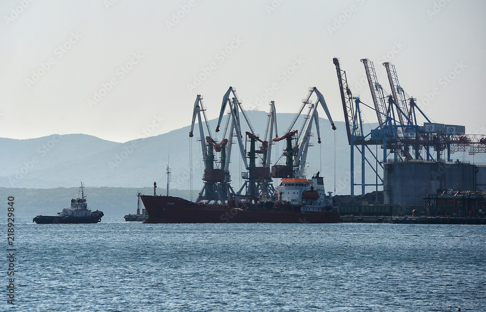 Port cranes in the sea