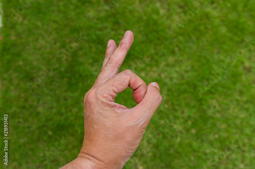 hand in ok sign on green grass © pandaclub23