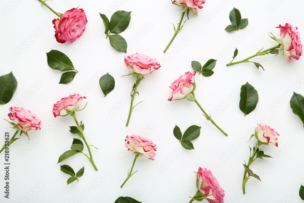 Fototapeta premium Pink rose flowers with green leafs on white background