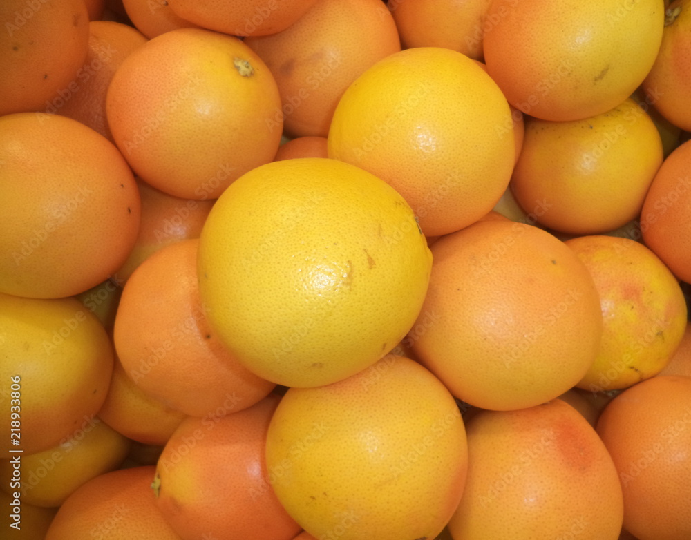 harvest of ripe fresh grapefruit harvest of ripe fresh grapefruit