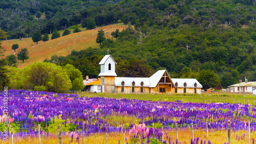 View of the wooden church and a field of blooming Lupinus in the national park Torres del Paine, Patagonia, Chile. With selective focus.