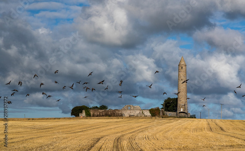 Obraz na plátně Pigeons flying past Historic Rattoo round tower and surrounding farmland in rura