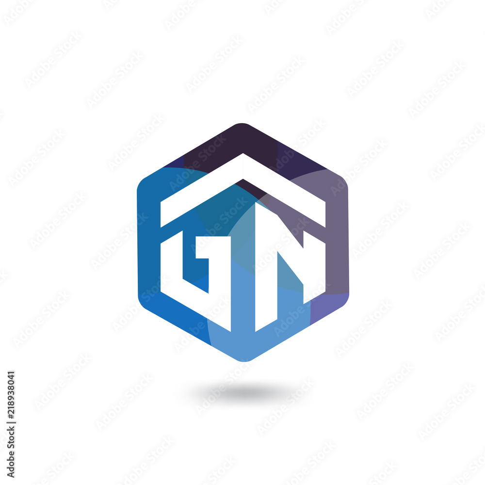 G N Initial letter hexagonal logo vector template G N Initial letter hexagonal logo vector template