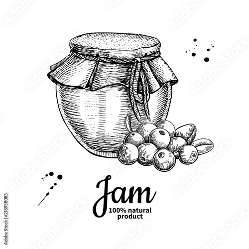 Cranberry jam glass jar vector drawing.  Fruit Jelly and marmala