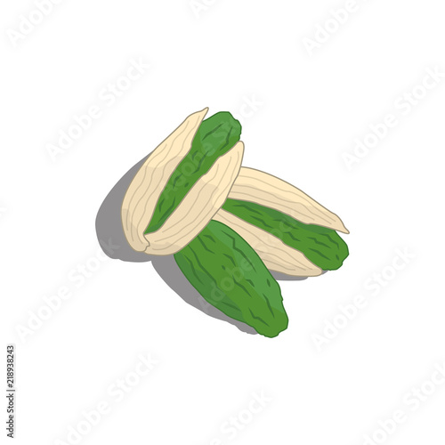 Pistachios icon. Vector.
