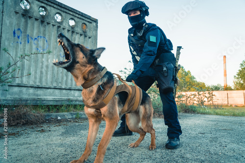 Bild auf Leinwand Cynologist. A man in military clothes with a trained sheepdog