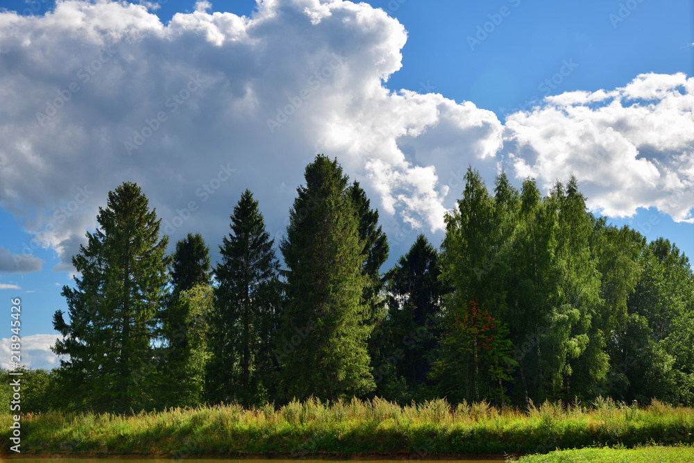 Fototapeta premium Russian scenery in summer time