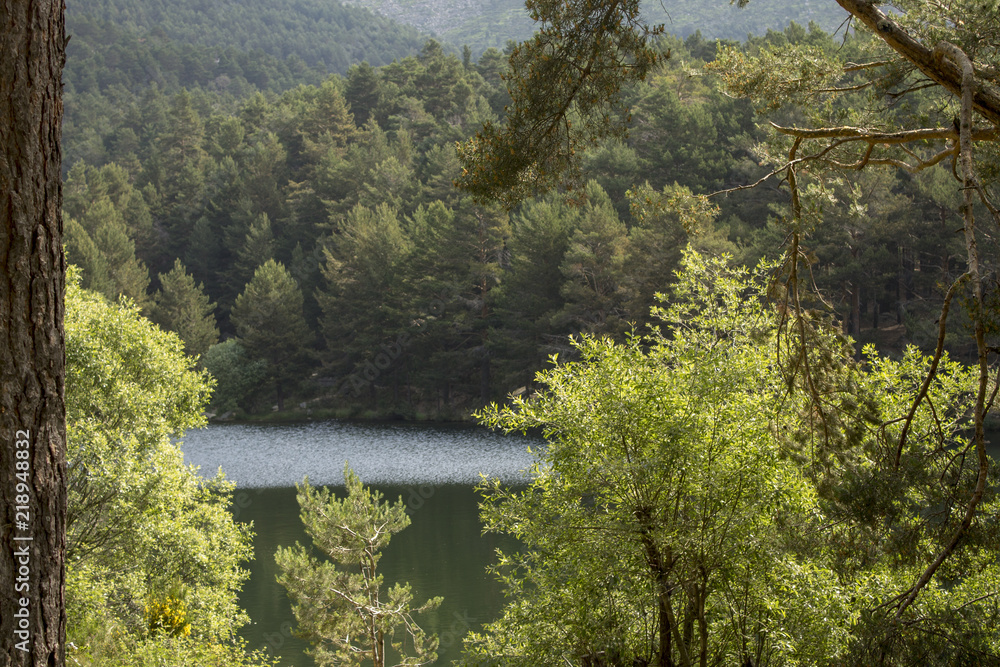 Fototapeta premium Embalse y cascada del Ejército en la sierra de Madrid