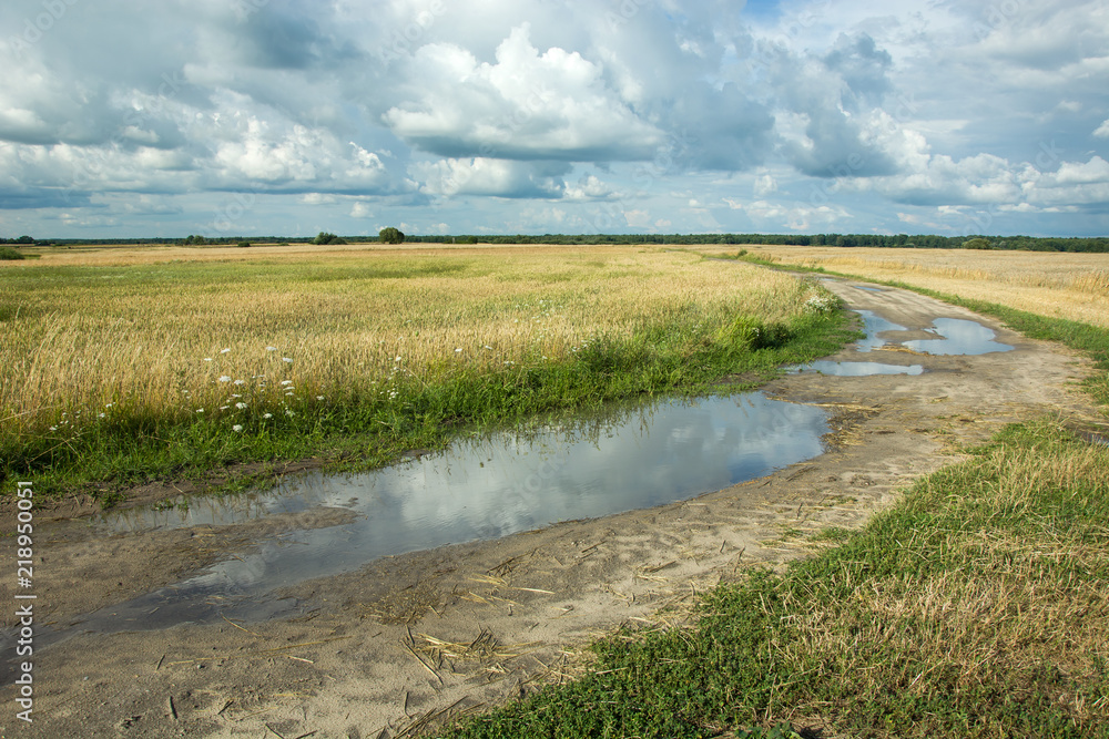 Big puddles on the road through fields of grain and clouds in the sky Big puddles on the road through fields of grain and clouds in the sky