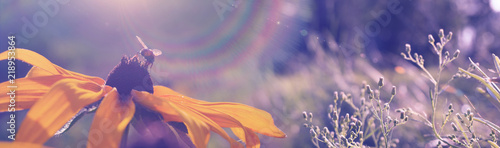 Vegetative background with ...