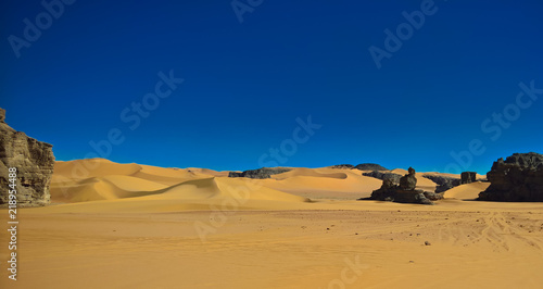 Abstract Rock formation at Boumediene , Tassili nAjjer national park, Algeria