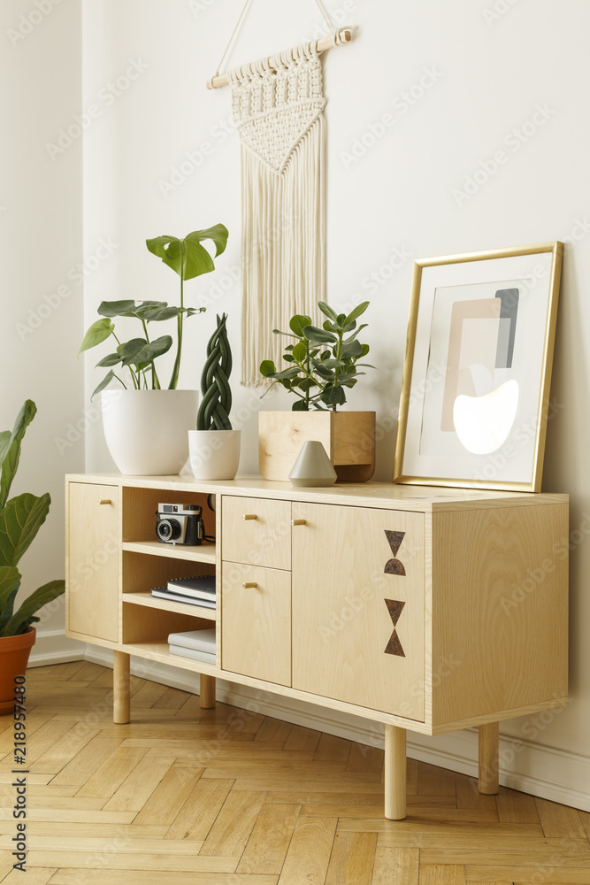Wooden cabinet decorated with plants, camera and painting on a white wall. Side view Wooden cabinet decorated with plants, camera and painting on a white wall. Side view