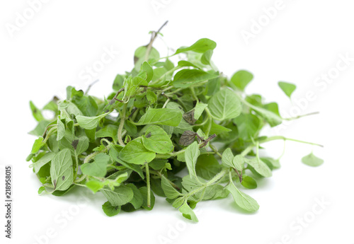 Sweet Genovese basil leaves background arrangement isolated on white