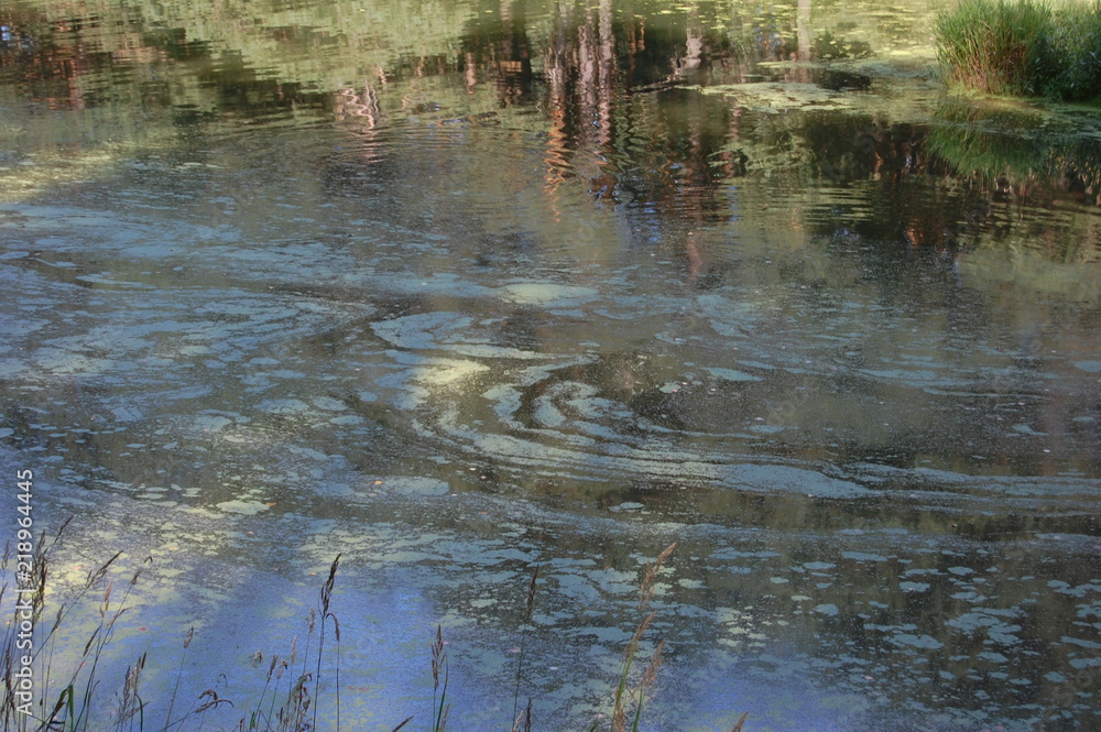 Fototapeta premium The patterns on the water