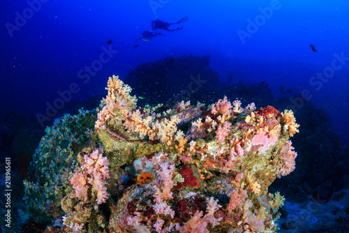 A beautiful, colorful tropical coral reef system in Asia