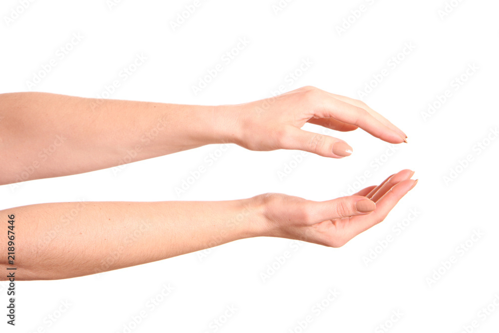 Empty open woman hands. Isolated Empty open woman hands. Isolated