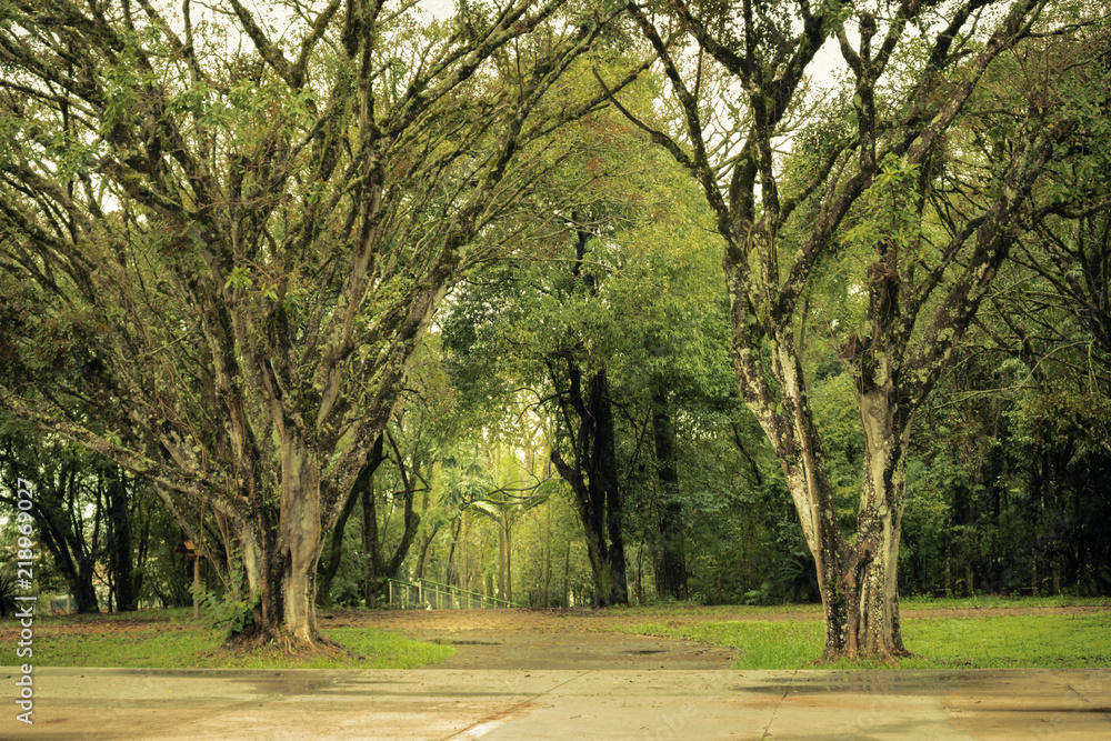 Obraz premium Parque de Exposições 05