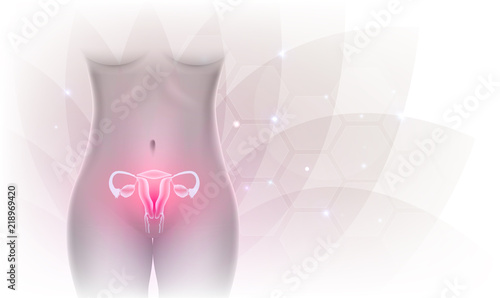 Vászonkép Female reproductive organs beautiful artistic design, transparent flower at the background