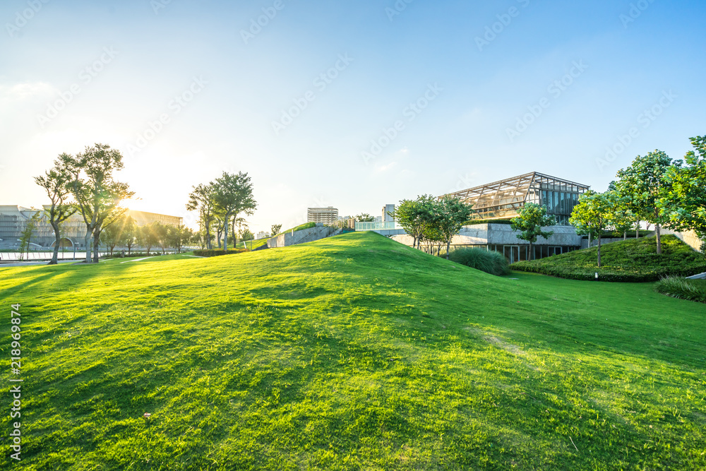grassland in the park grassland in the park