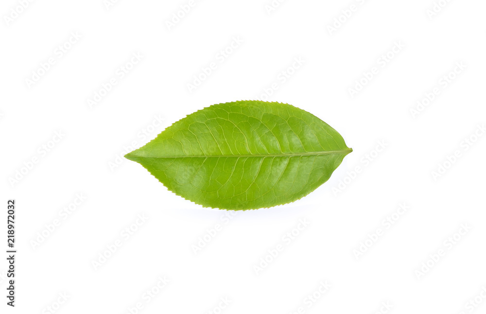 Obraz premium tea leaves on white background